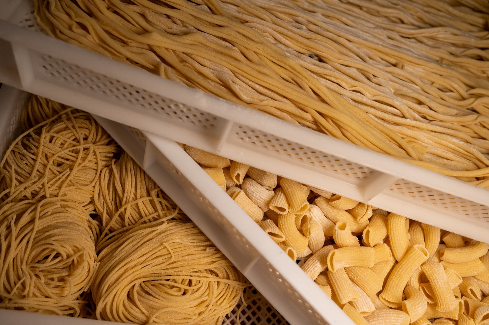 Fresh pasta shapes in trays in the Pastaio kitchen